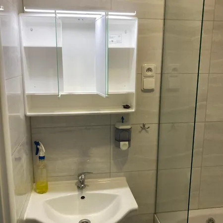 Daire Brno Bystrc Brnenska Prehrada Komín