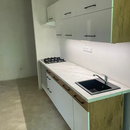 Brno Bystrc Brnenska Prehrada Daire Komín